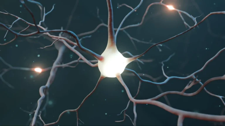 Researchers Find How Exercise May Help Prevent Neurodegeneration