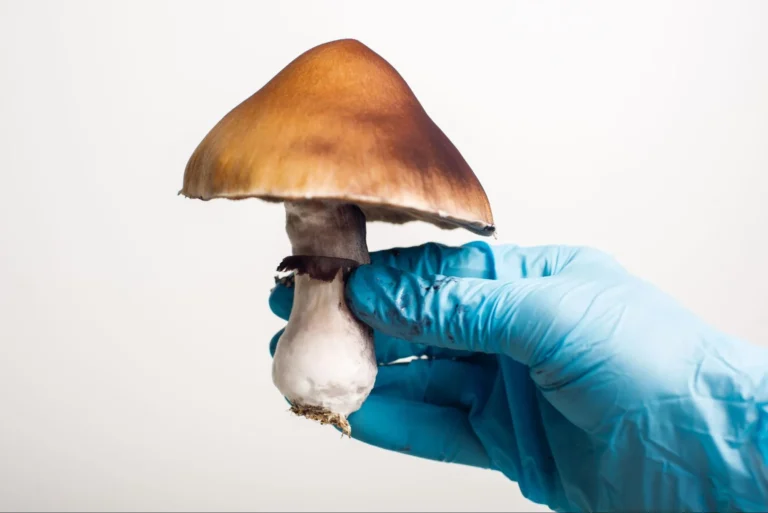 Psychedelics and near-death experiences reduce the fear of death