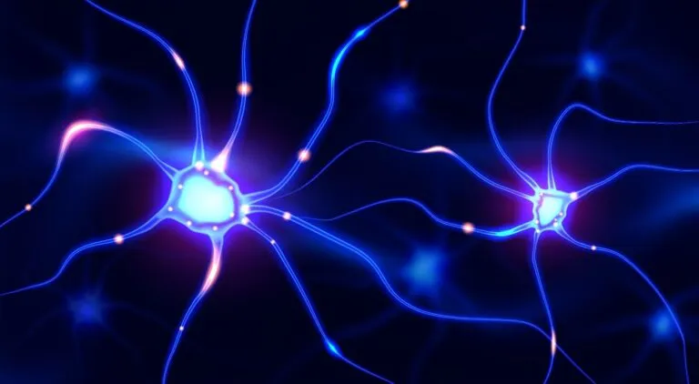 Researchers Identify Brain Cells That Put Brakes On Heroin Relapse