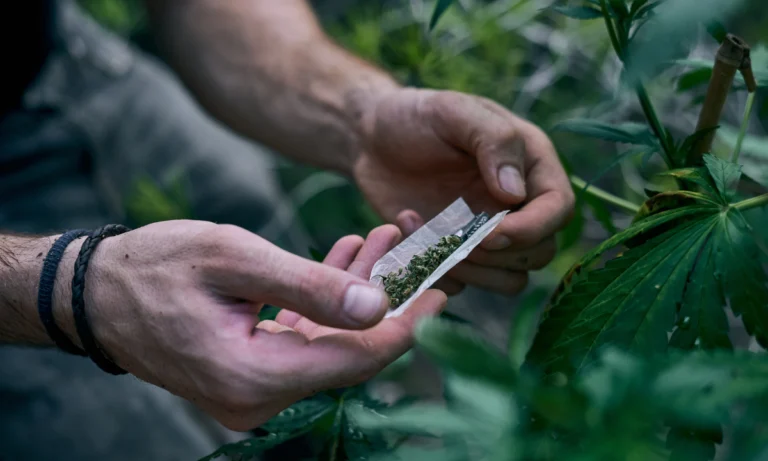 Using Marijuana & Tobacco May Rather Make Your Pain Worse – A Study Shows
