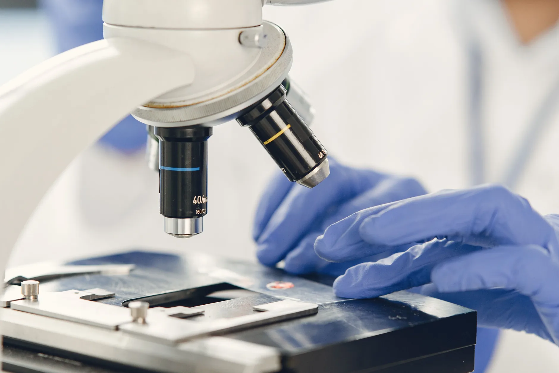 Gloved hands place a slide under a lab microscope, as in research on gut bacteria and Alzheimer's disease