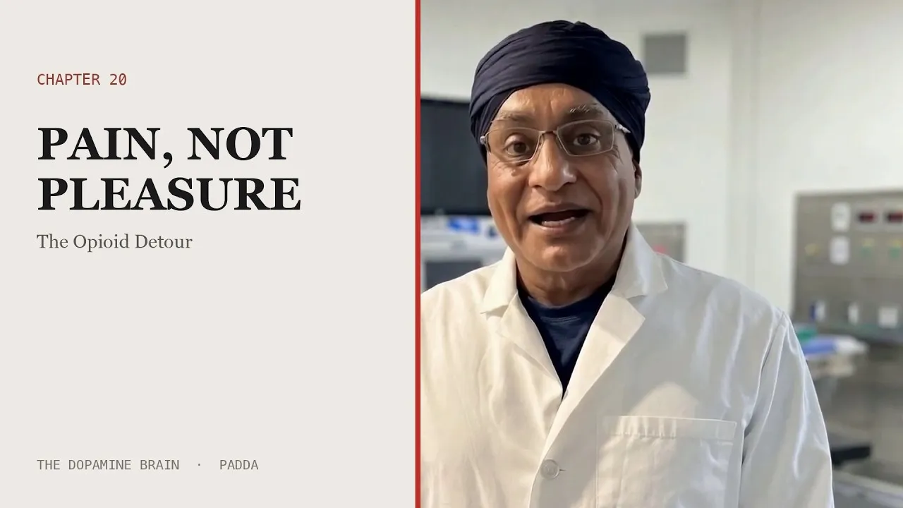 Pain, Not Pleasure | The Dopamine Brain, Chapter 20 — video thumbnail